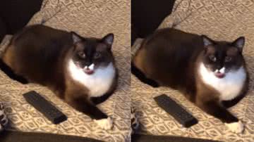 Reprodução / Instagram