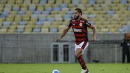 Marcelo Cortes / Flamengo