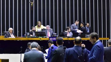 Zeca Ribeiro / Câmara dos Deputados