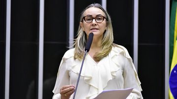 Zeca Ribeiro / Câmara dos Deputados