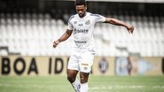 Raul Baretta/ Santos FC