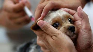 Divulgação/Prefeitura de Porto Velho