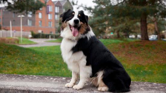 Ilustração / Freepik