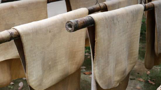 Divulgação / Pixabay