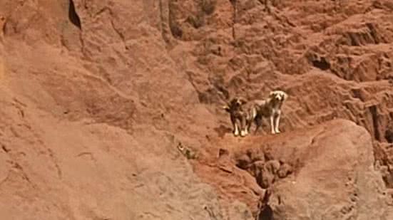 Divulgação / Corpo de Bombeiros