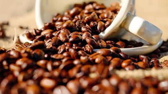 Divulgação / Pixabay