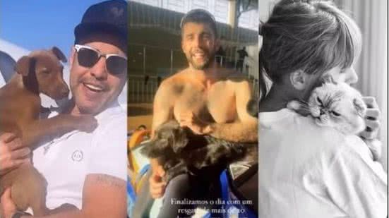 Reprodução / Redes sociais