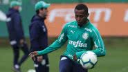 Cesar Greco/Ag. Palmeiras