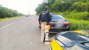 Ocorrência foi registrada pela PRF - Divulgação/PRF