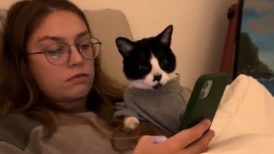 Reprodução/ TikTok @g_stefanone