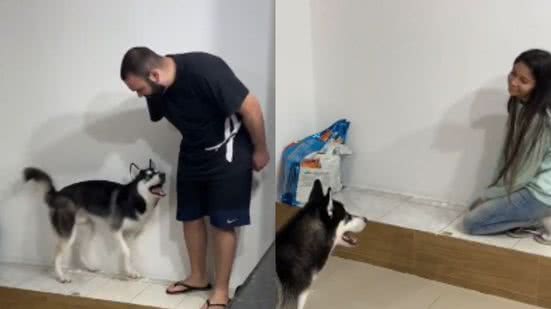 Reprodução//TikTok @liciane_fernandes