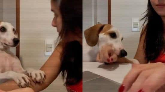 Reprodução// TikTok @viralatacostelinha