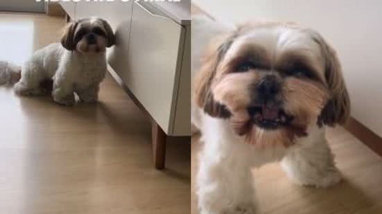 Reprodução// TikTok @fabiannib