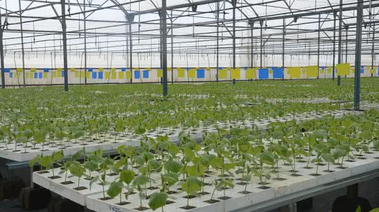 Divulgação / Agrotravel