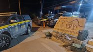Divulgação/PRF