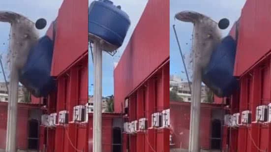 Foto: Reprodução / Redes Sociais