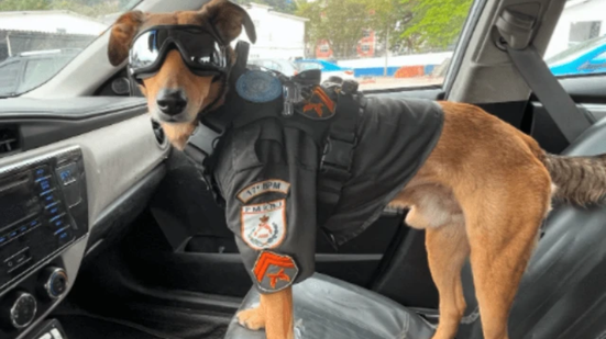 Reprodução/Instagram