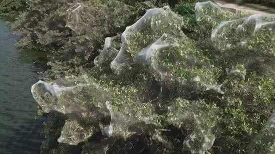 Foto: Reprodução / TV Globo