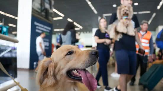 Foto: Fábio Rodrigues-Pozzebom / Agência Brasil