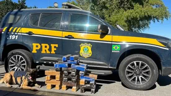 Divulgação/PRF