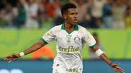 Cesar Greco/Palmeiras