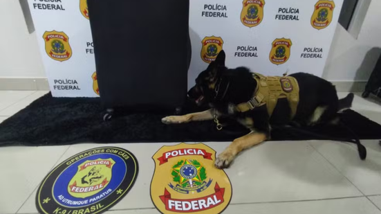 Divulgação/Polícia Federal