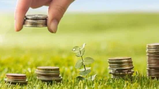 Divulgação / Freepik