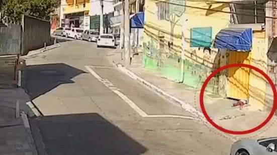 Reprodução/Vídeo