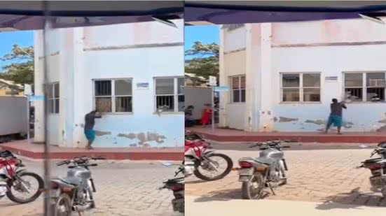 Reprodução