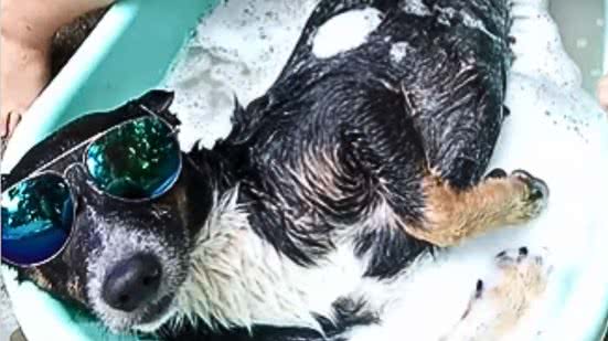 Reprodução / Redes sociais