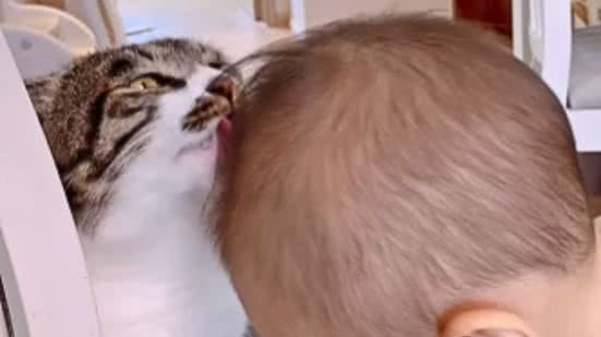 Reprodução / Redes sociais