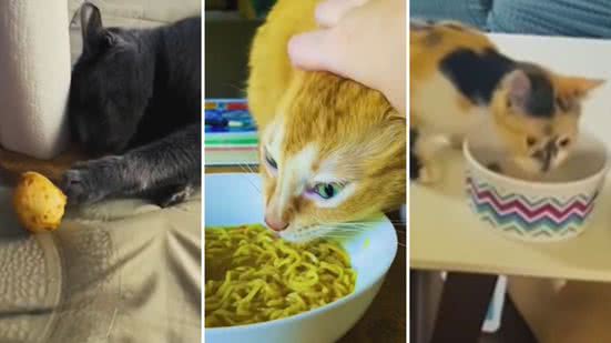 Reprodução / Redes sociais