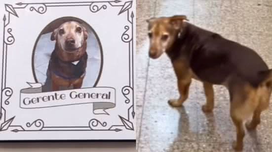 Reprodução / Redes sociais