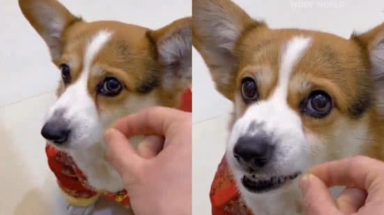 Reprodução / Redes Sociais