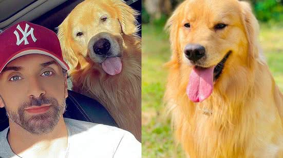 Reprodução / Redes sociais