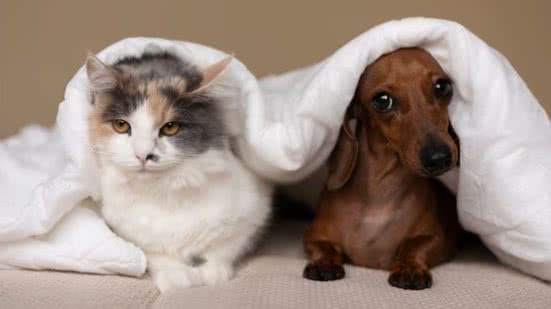 Ilustrativa / FreePik