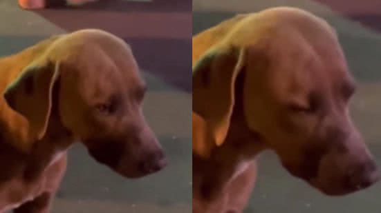 Reprodução / Redes Sociais