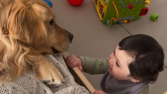 Reprodução / Redes Sociais