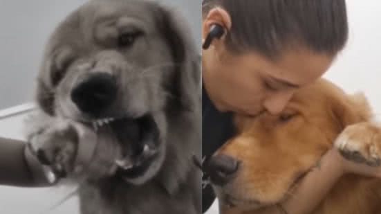 Reprodução / Redes Sociais