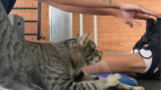 Reprodução / Redes Sociais