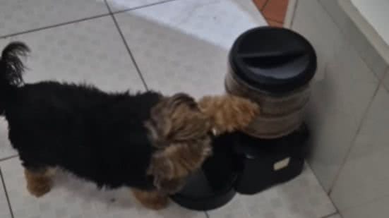 Reprodução / Instagram