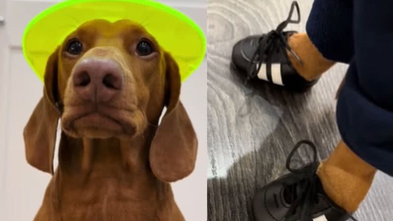 Reprodução / Instagram