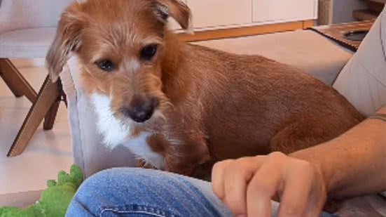 Reprodução / Instagram