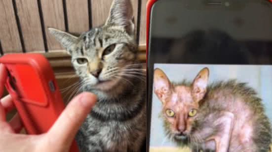 Reprodução / Instagram