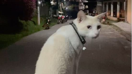 Reprodução / Instagram