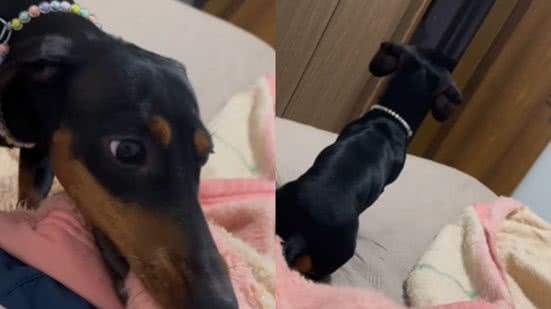 Reprodução / Instagram