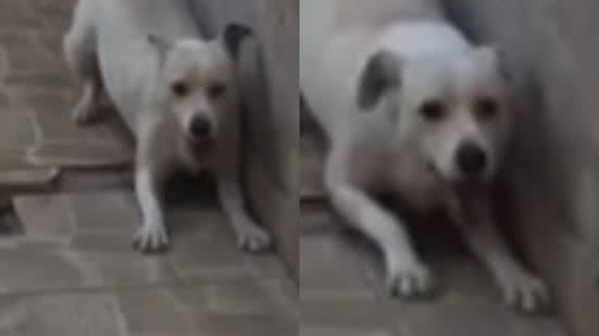 Reprodução / Instagram