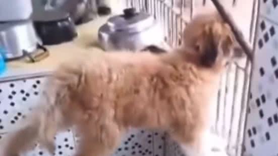 Reprodução / Instagram