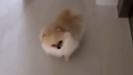 Reprodução / Instagram