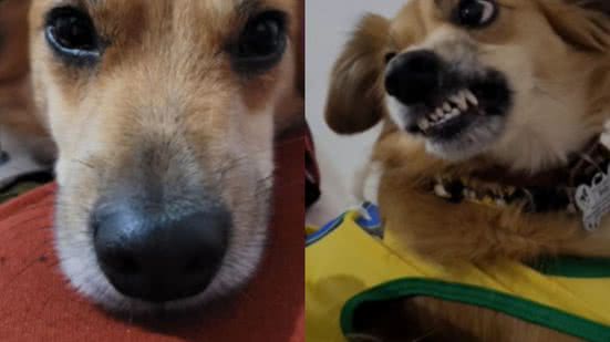 Reprodução / Instagram